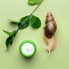Ślimak zbliża się do kremu, symbolizując naturalne składniki w kosmetykach snailmed. Zielone liście podkreślają ekologiczny charakter.