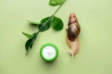 Ślimak zbliża się do kremu, symbolizując naturalne składniki w kosmetykach snailmed. Zielone liście podkreślają ekologiczny charakter.